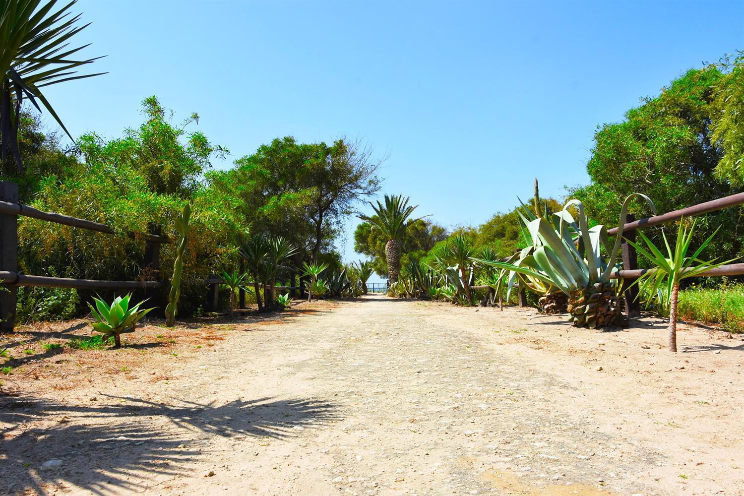 Casara Seis O Casara Siete - Tu Casa A 100M De La Playa De Zahora Guest House Екстериор снимка